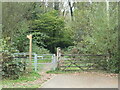 An entrance to Zionshill Copse