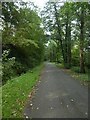 Track in Sirhowy Valley Country Park