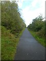 NCN47 in Sirhowy Valley Country Park