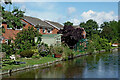 SK1608 : Canalside gardens near Whittington in Staffordshire by Roger  Kidd