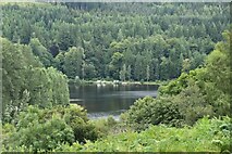 NN9159 : Loch Faskally by N Chadwick