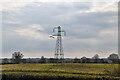 TQ9530 : Pylon in field by N Chadwick