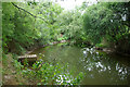 Fishing hole on River Mole