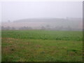 Crop field, Bonjedward