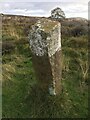 Old Boundary Marker southeast of New Road