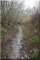 Muddy bridleway