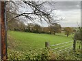 Tree, gate and field