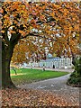 Autumn colour in Sheffield Botanical Gardens