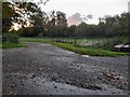 Farm track off Pleshey Road