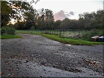 TL6413 : Farm track off Pleshey Road by David Howard