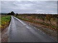 Wych Elm Lane, Woolmer Green