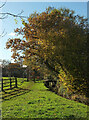 Path and stream by Monks Way