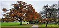 QR Tambo Recreation Ground, Durnsford Road