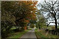 Priestcliffe Road approaching a Cross Roads