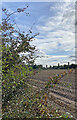 View from Retford Sewage Works Trig Point