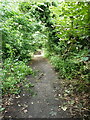 An old trackway behind Ketley Hall