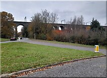 TL2414 : Welwyn Viaduct by David Howard