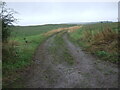 Farm track near Pirnie