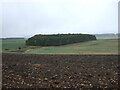 NT6427 : Ploughed field near Fairnington by JThomas