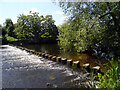 Stepping stones over the River Wharfe