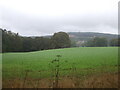 Crop field and woodland, Jerdonfield