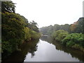 The River Teviot, Ancrum