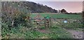 Footpath to Aston Grove