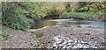 The weir on the River Arrow