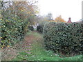 Path to the church, Flyford Flavell