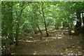 Old route of bridleway towards Crutchfield Lane