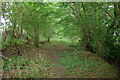 Old route of bridleway towards Reigate Road