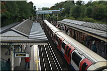 TQ2081 : North Acton Station by N Chadwick