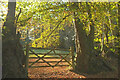 Gate by the Templer Way