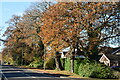 Autumnal trees beside Lyndhurst Road