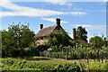 Wey Street Farmhouse