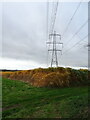 Tall crop and pylon