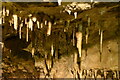 H1234 : Stalactites, Marble Arch Cave by N Chadwick