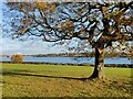 Bartley Green Reservoir Picnic Area