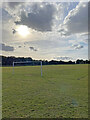 Football pitch near Kilton Forest Farm Trig Point