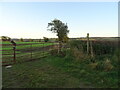 Footpath off New Lane