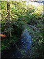 Stream running alongside the A488 at The Waterwheel