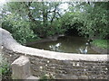 The Frome from Nightingale