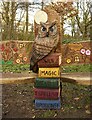 NS5572 : Owl and books by Richard Sutcliffe
