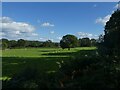 Grassland by Monmouthshire and Brecon Canal west of Gelli