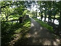 Canal drainage site, Monmouthshire and Brecon Canal