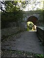 Former railway bridge over Monmouthshire and Brecon Canal