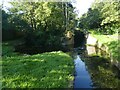 The foot of Five Locks, Monmouthshire and Brecon Canal