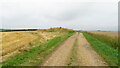 TF2386 : Grim's Mound, Grimblethorpe, Lincs by Colin Park