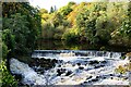 C2121 : Lennon River and Lennon River Waterfall, near Ramelton, Co. Donegal by P L Chadwick