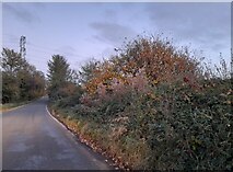 TQ5296 : Murthering Lane, Navestock Heath by David Howard